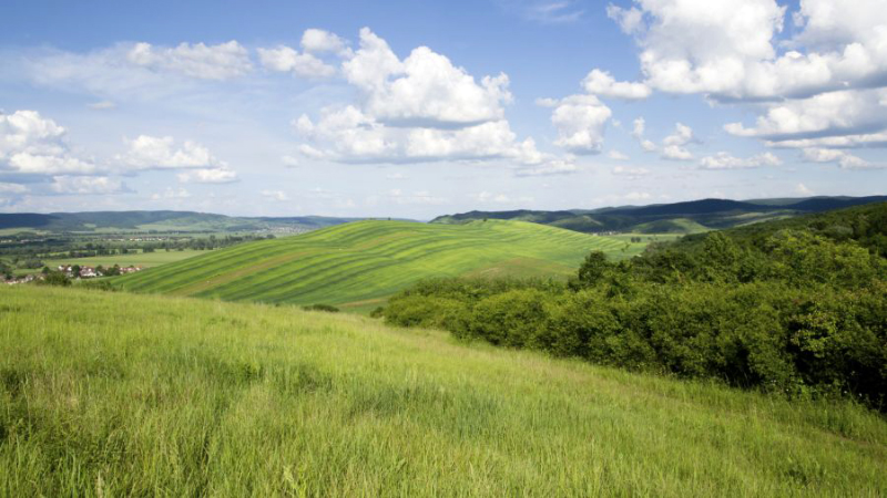 Илюстрация