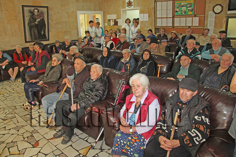 Столетник Столетник