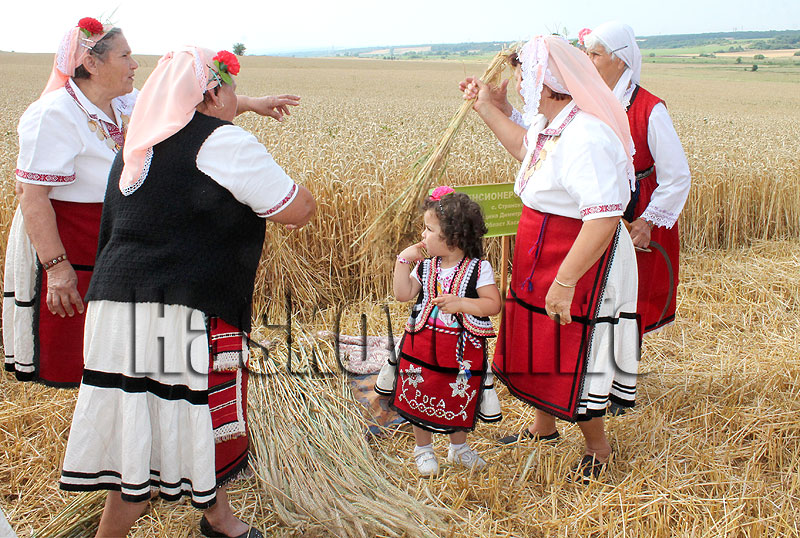 Жътва Жътва