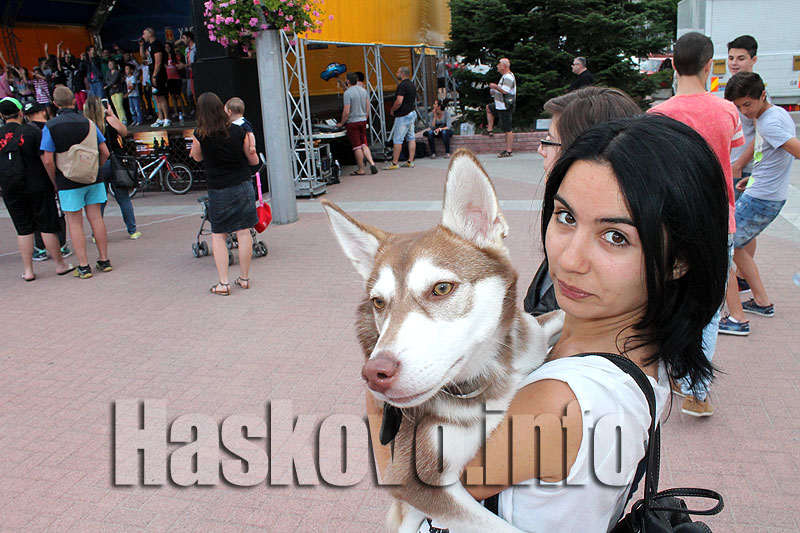 Концерт Концерт