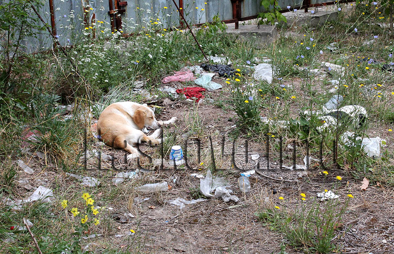 Боклуци Боклуци