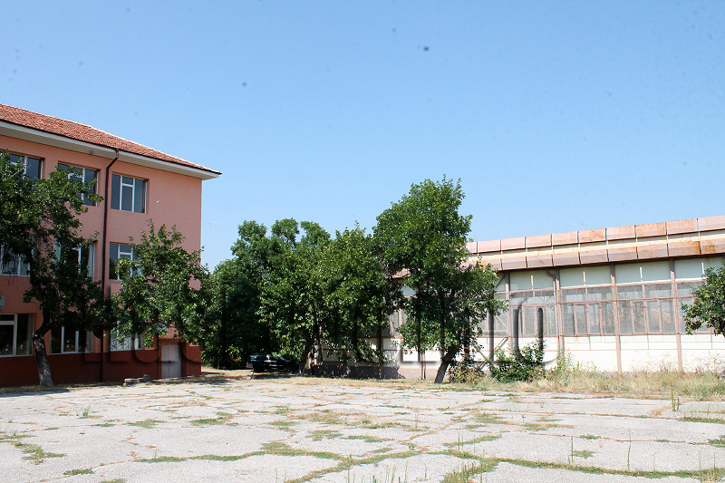 Меле