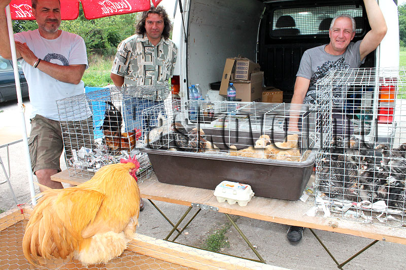 Пазар Пазар