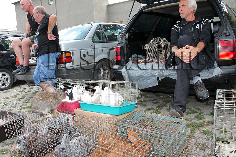 Пазар Пазар