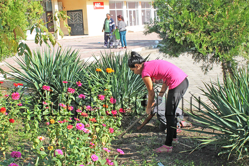 Чистота Чистота