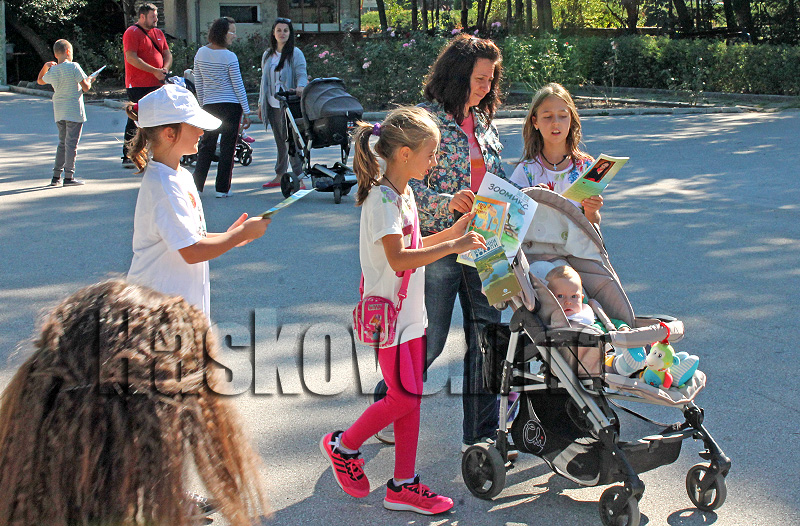 Птици Птици