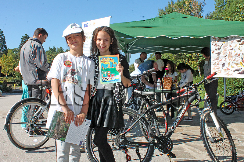 Птици Птици