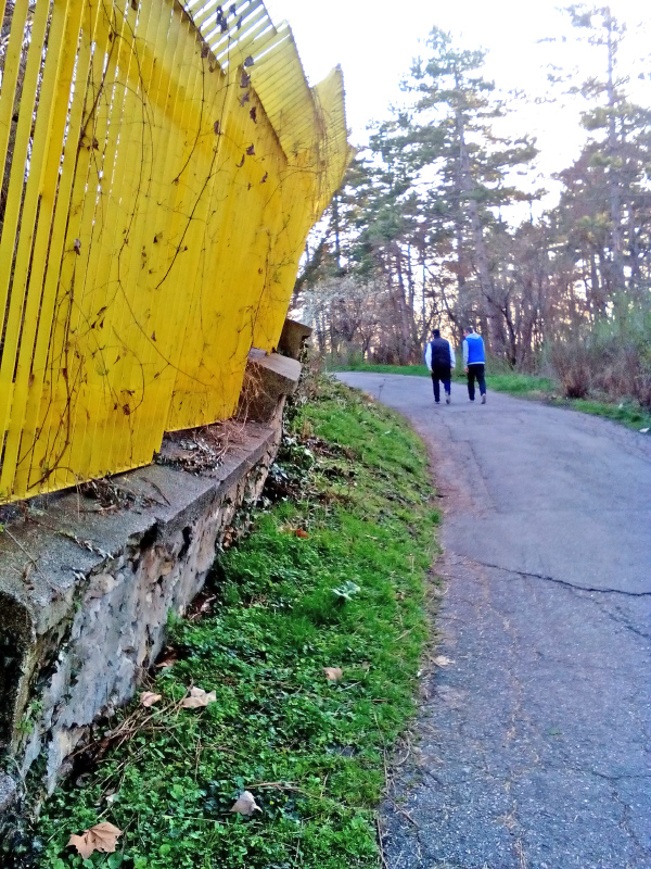 Ограда