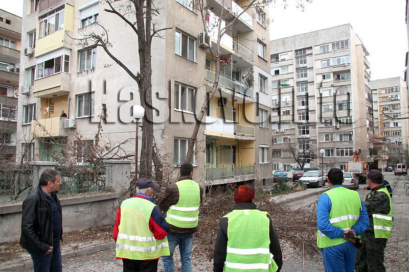 Скандал Скандал