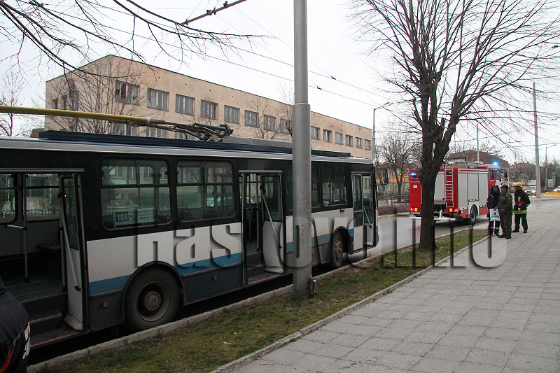 Тролей Тролей