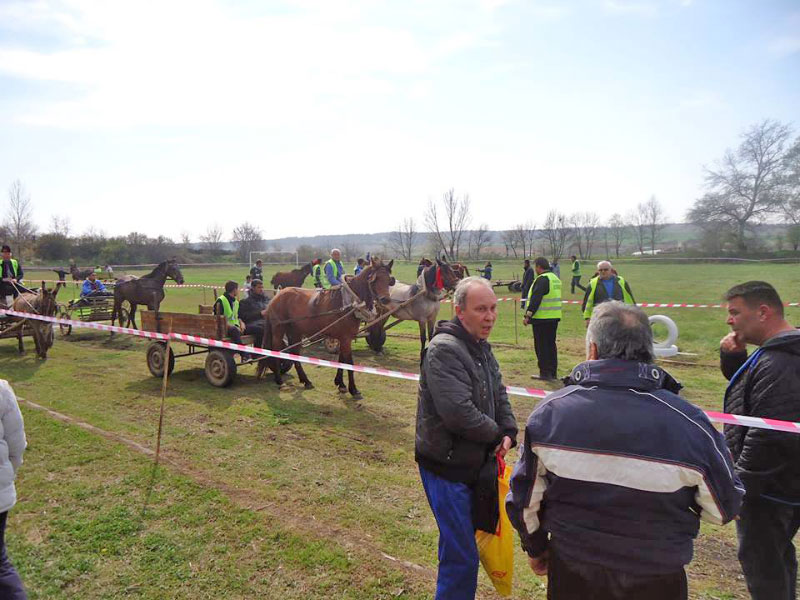 Кушия Кушия