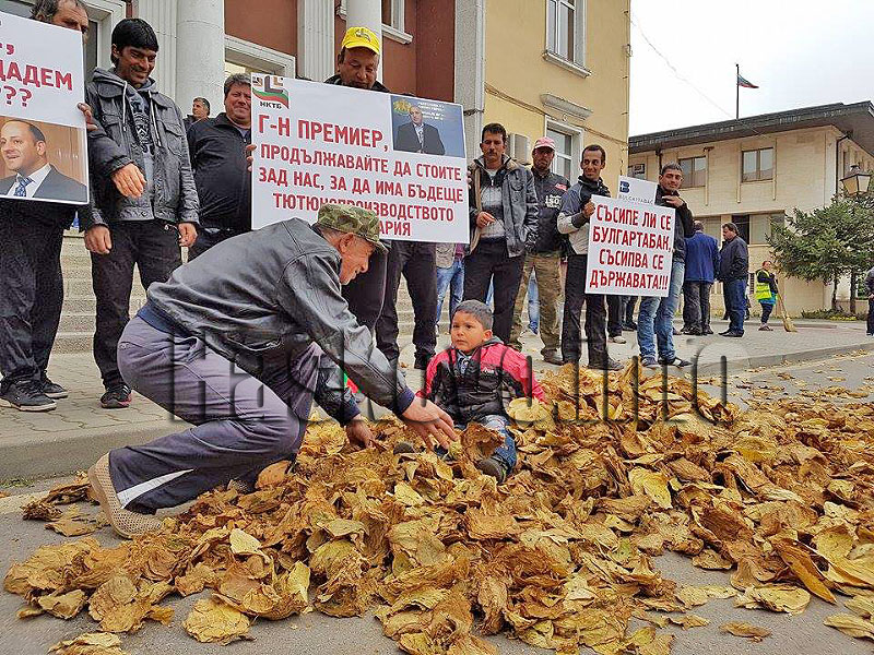 Протест