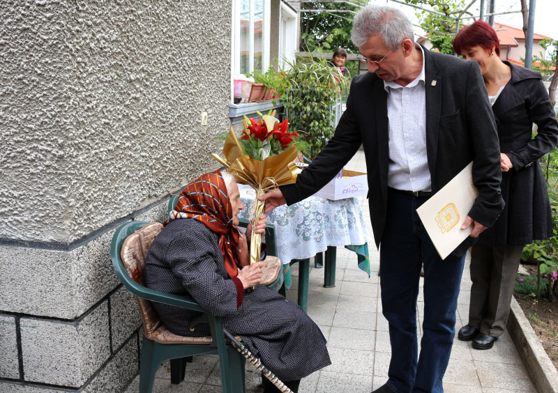 Столетница Столетница