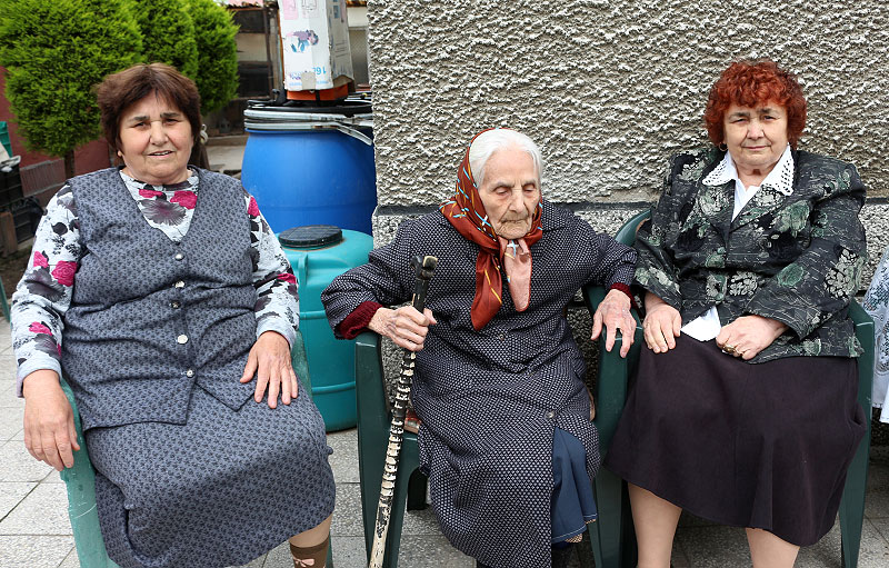 Столетница