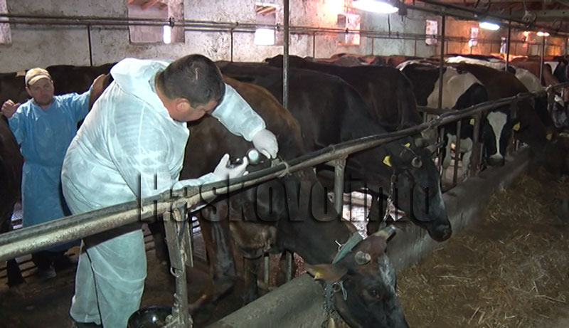 Илюстрация