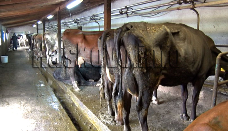 Илюстрация