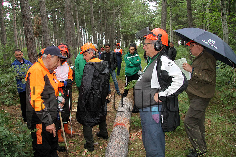 Състезание