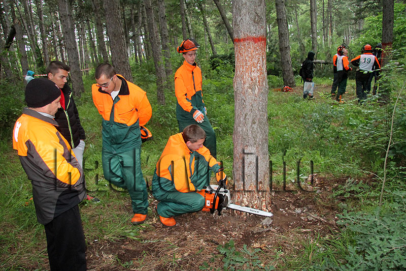 Състезание