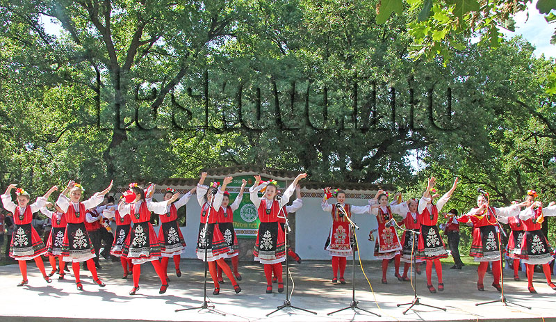 Събор Събор