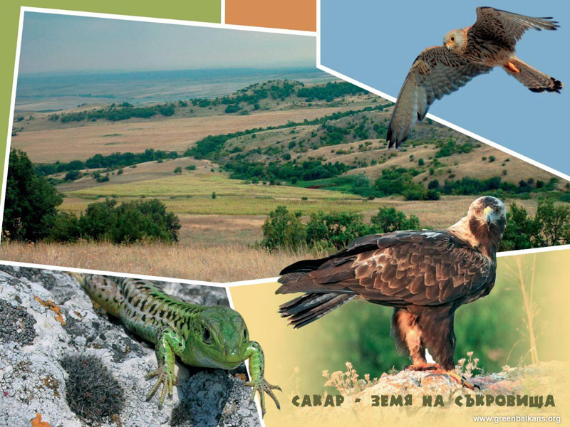 Илюстрация