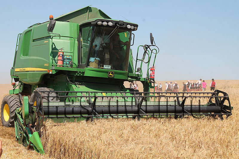 Жътва Жътва