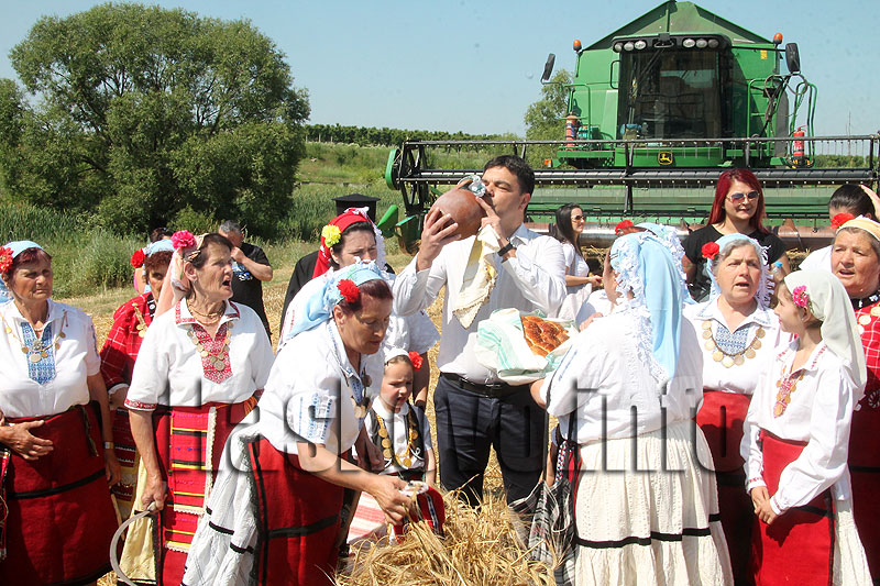 Жътва Жътва