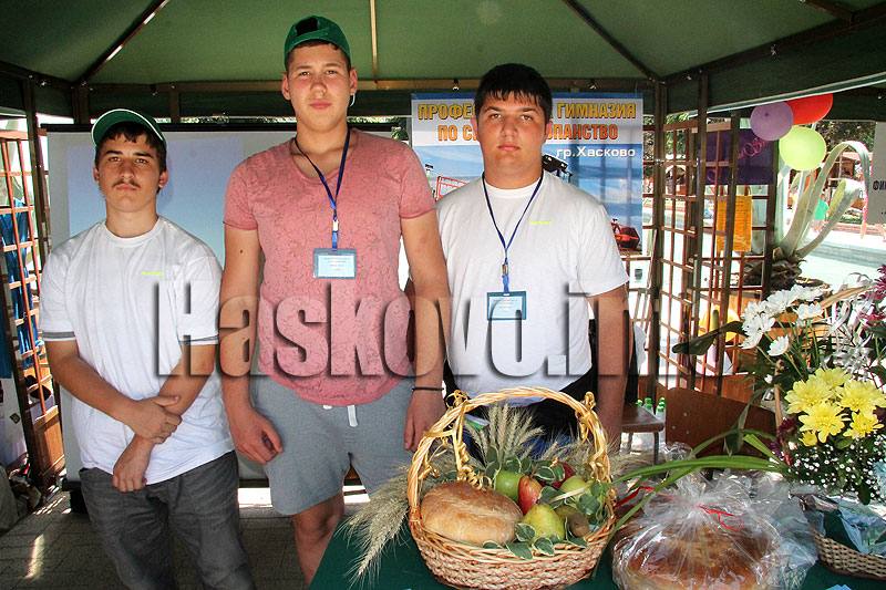 Панорама Панорама