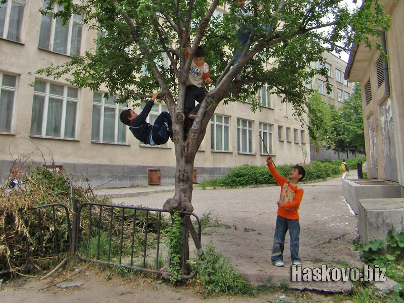 Image Image