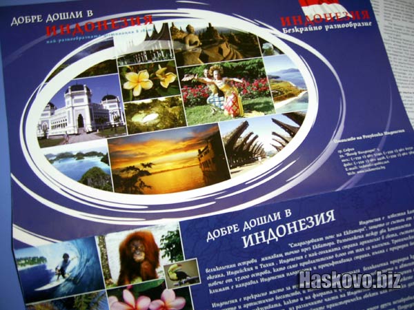 Image Image
