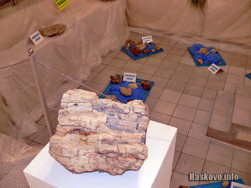 Вкаменелости Вкаменелости