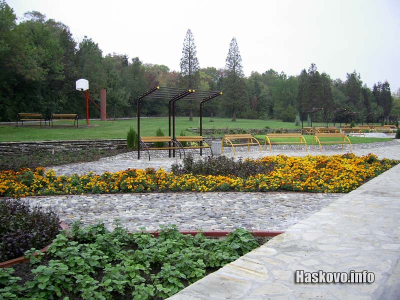 Алея, архив