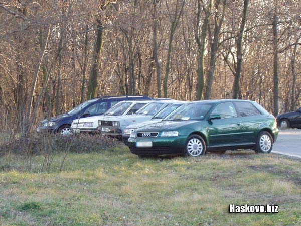 Автомобили в парка Автомобили в парка