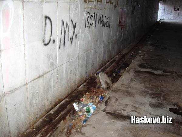 Image Image