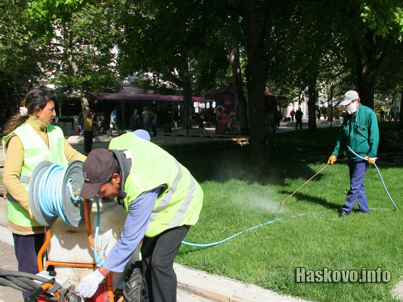 Пръскане срещу кърлежи