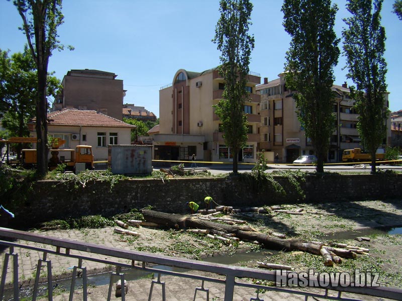 Image Image