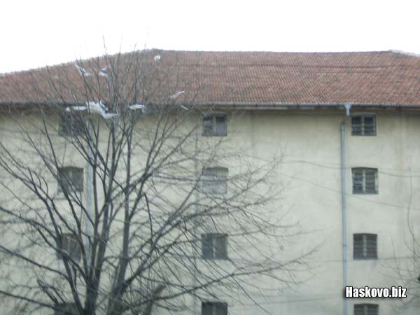 Другаде летящите найлони се събираха по дърветата