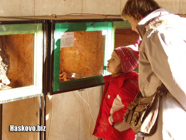 Image Image