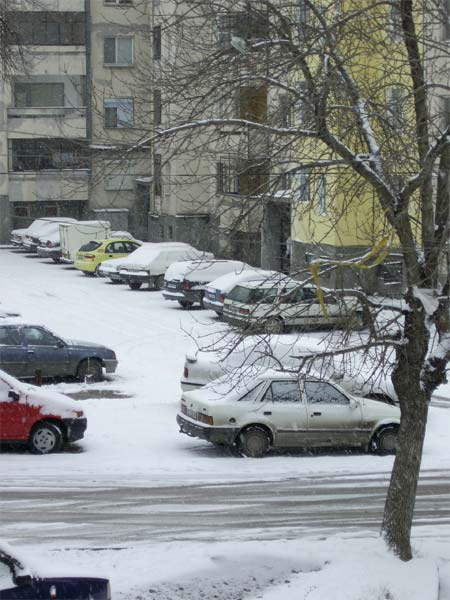 Сняг в Хасково Сняг в Хасково