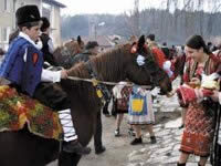 Кушии Кушии