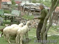 Агнета, илюстрация