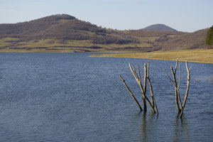 яз. Тракиец