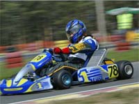 Картинг Картинг