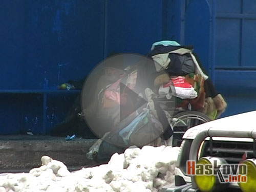 Бездомници