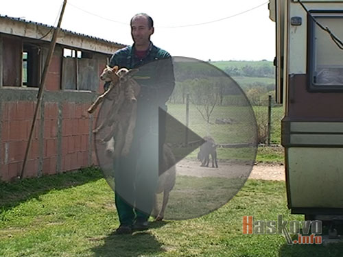 Няма ушни марки за агнетата