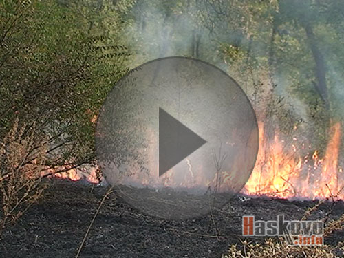 Хванаха подпалвач