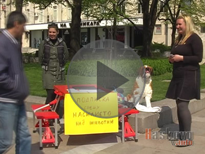 Подписка срещу насилието над животни