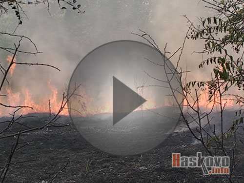 Пожар край Динево