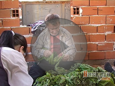 Андон Димитров