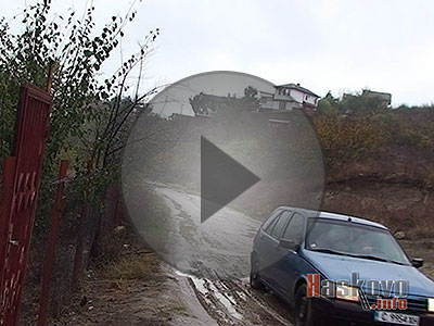 Ставри Димитрово