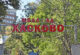 Двама са допуснати до новия конкурс за директор на МБАЛ – Хасково